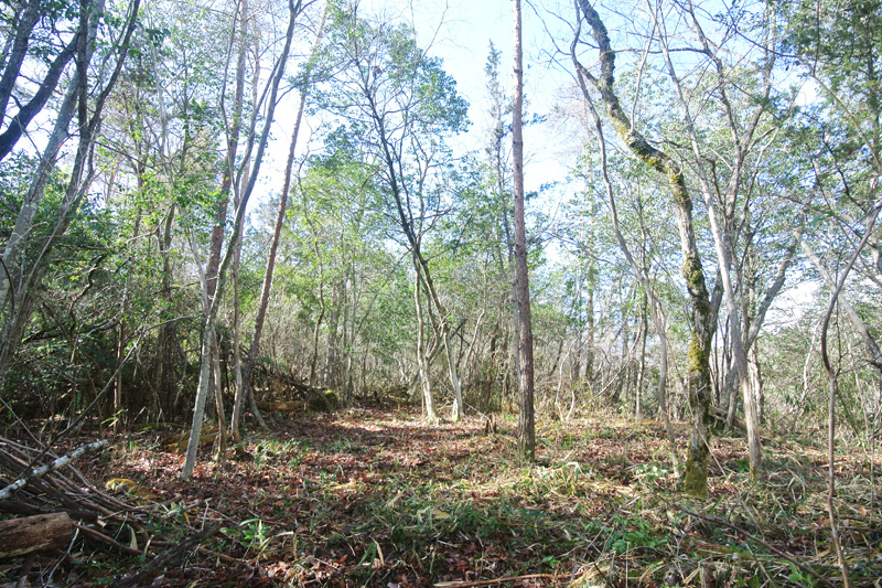  岡山県美作市下大谷
（市町村公式ホームページを見る ）