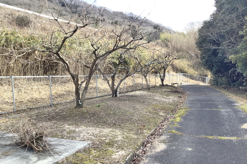  岡山県赤磐市可真上
（市町村公式ホームページを見る ）