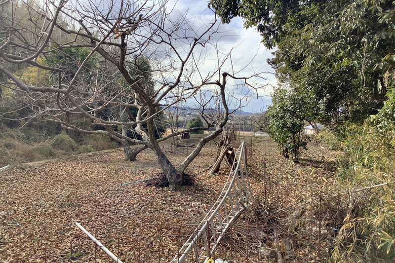  岡山県赤磐市可真上
（市町村公式ホームページを見る ）